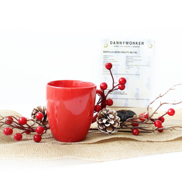 tisana-mirtillo-nero-frutti-